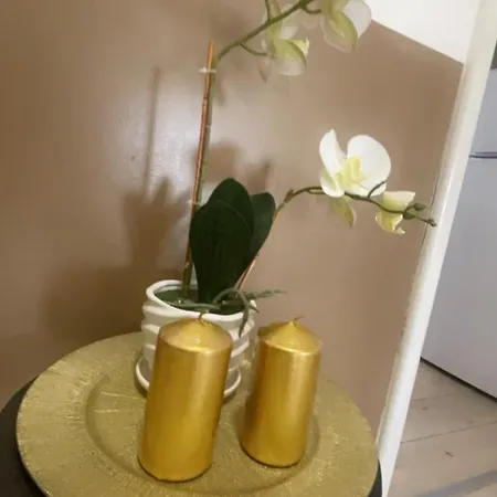 Vatican Sofia House * Roma