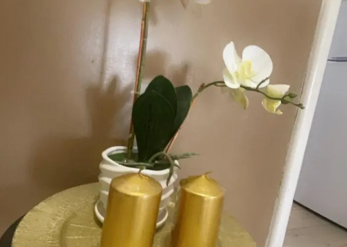 Vatican Sofia House * 로마